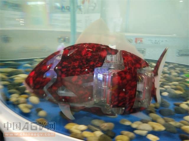 纳西区叉车出租租赁