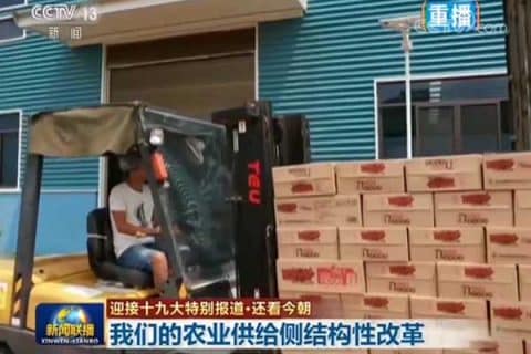 TEU叉车助推西部农业供给侧改革