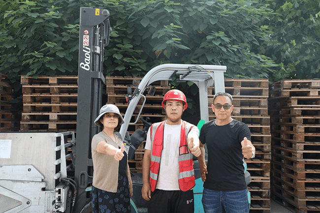 五通桥区宝骊叉车