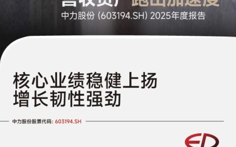72.54亿、90.26亿、40.1%……从关键数字读懂中力股份2025年度报告