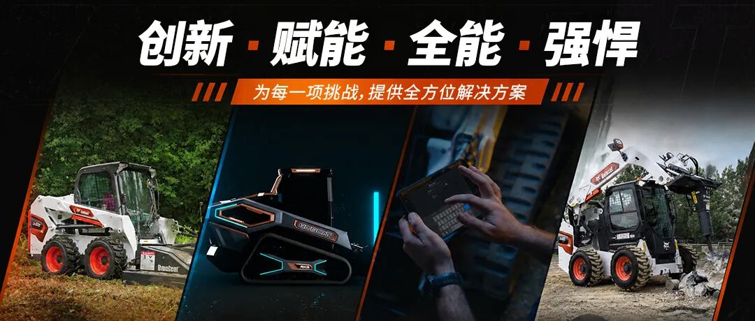白色滑移就是山猫?别让颜色骗了你的钱包!